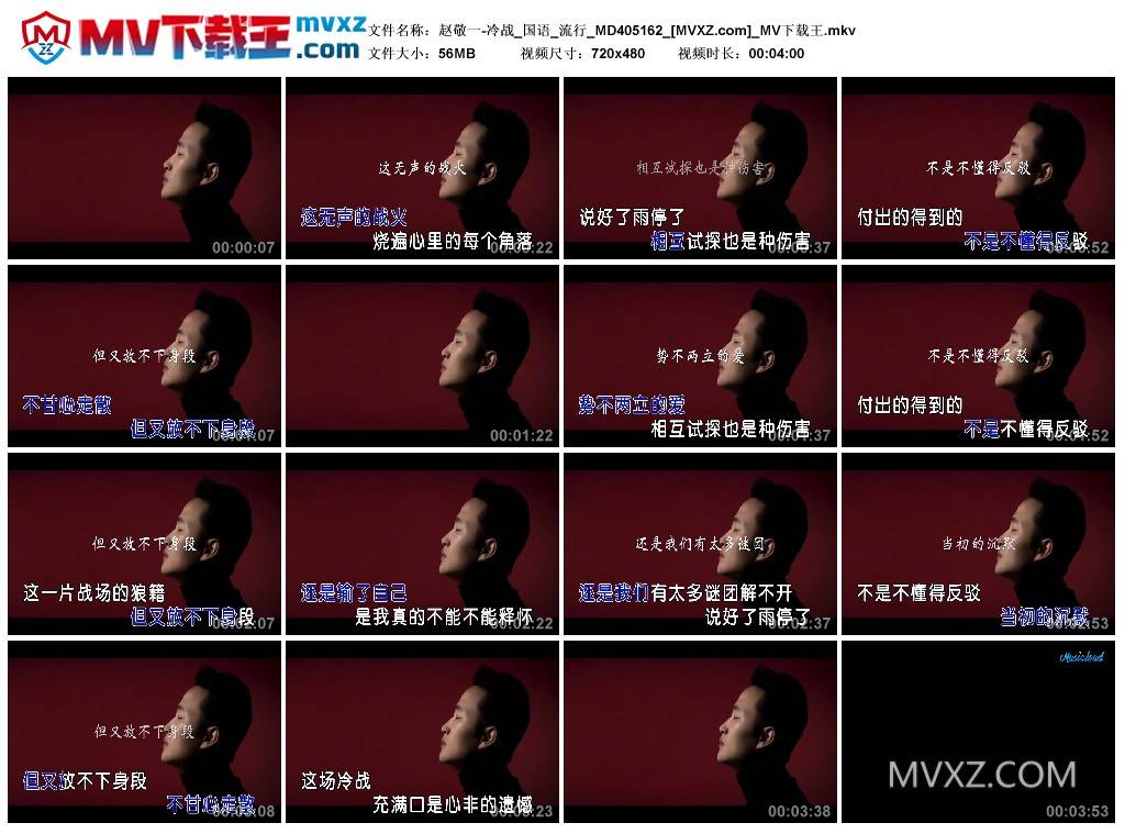 赵敬一-冷战_国语_流行_MD405162